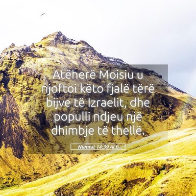 Picture 05 - Numrat 14:39 ALB - Atëherë Moisiu u njoftoi këto fjalë tërë - Bible Verse Picture