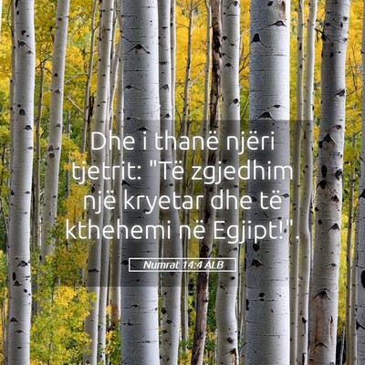 Picture 05 - Numrat 14:4 ALB - Dhe i thanë njëri tjetrit: 