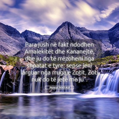 Picture 05 - Numrat 14:43 ALB - Para jush në fakt ndodhen Amalekitët dhe - Bible Verse Picture