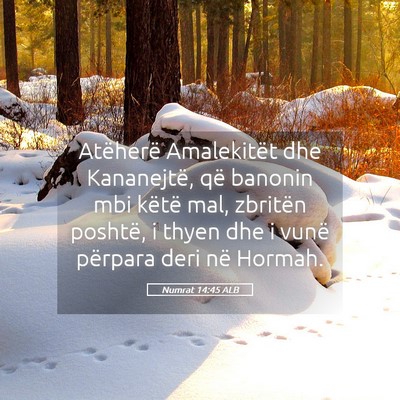 Picture 05 - Numrat 14:45 ALB - Atëherë Amalekitët dhe Kananejtë, që banonin - Bible Verse Picture