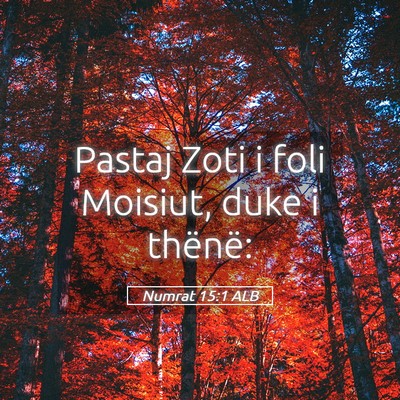 Picture 05 - Numrat 15:1 ALB - Pastaj Zoti i foli Moisiut, duke i - Bible Verse Picture