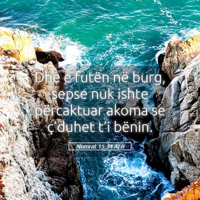 Picture 05 - Numrat 15:34 ALB - Dhe e futën në burg, sepse nuk ishte - Bible Verse Picture