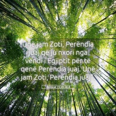 Picture 05 - Numrat 15:41 ALB - Unë jam Zoti, Perëndia juaj që ju nxori nga - Bible Verse Picture