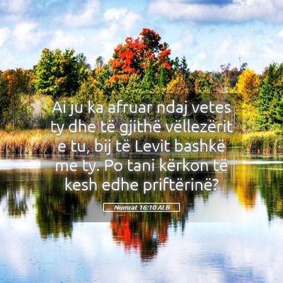 Picture 05 - Numrat 16:10 ALB - Ai ju ka afruar ndaj vetes ty dhe të gjithë - Bible Verse Picture