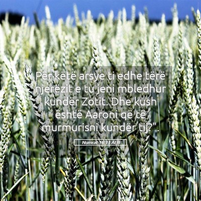 Picture 05 - Numrat 16:11 ALB - Për këtë arsye ti edhe tërë njerëzit e tu - Bible Verse Picture