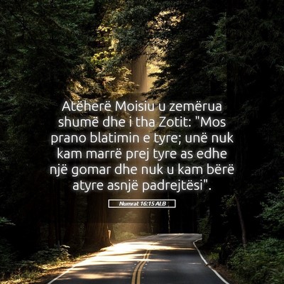 Picture 05 - Numrat 16:15 ALB - Atëherë Moisiu u zemërua shumë dhe i tha - Bible Verse Picture