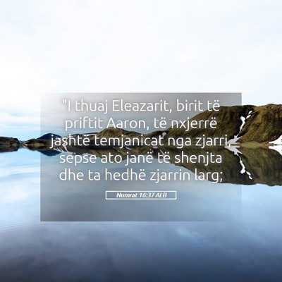 Picture 05 - Numrat 16:37 ALB - 