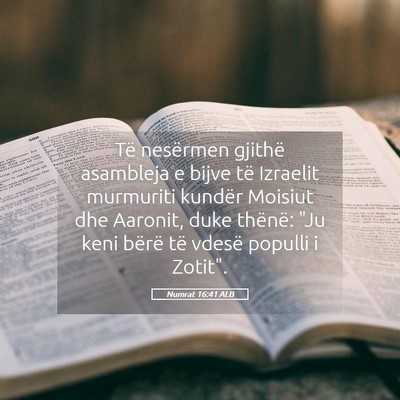 Picture 05 - Numrat 16:41 ALB - Të nesërmen gjithë asambleja e bijve të - Bible Verse Picture