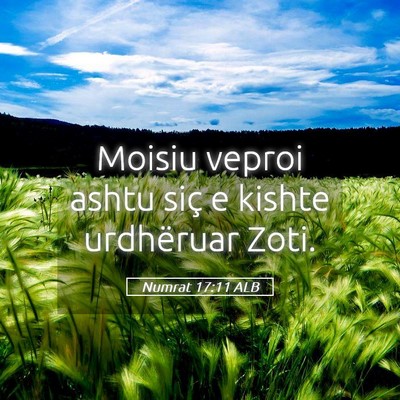 Picture 05 - Numrat 17:11 ALB - Moisiu veproi ashtu siç e kishte urdhëruar - Bible Verse Picture