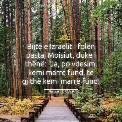Picture 05 - Numrat 17:12 ALB - Bijtë e Izraelit i folën pastaj Moisiut, duke i - Bible Verse Picture