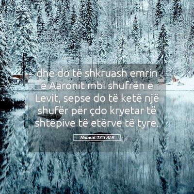 Picture 05 - Numrat 17:3 ALB - dhe do të shkruash emrin e Aaronit mbi shufrën - Bible Verse Picture