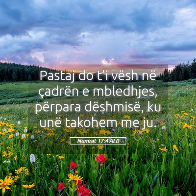 Picture 05 - Numrat 17:4 ALB - Pastaj do t’i vësh në çadrën e mbledhjes, - Bible Verse Picture