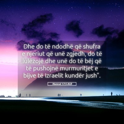 Picture 05 - Numrat 17:5 ALB - Dhe do të ndodhë që shufra e njeriut që unë - Bible Verse Picture