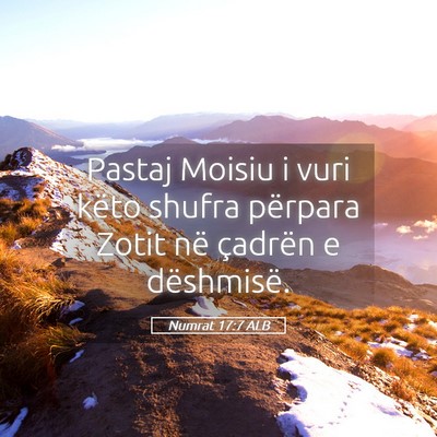 Picture 05 - Numrat 17:7 ALB - Pastaj Moisiu i vuri këto shufra përpara Zotit - Bible Verse Picture
