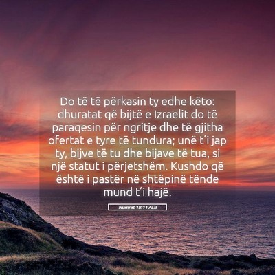 Picture 05 - Numrat 18:11 ALB - Do të të përkasin ty edhe këto: dhuratat që - Bible Verse Picture