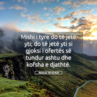Picture 05 - Numrat 18:18 ALB - Mishi i tyre do të jetë yti; do të jetë yti - Bible Verse Picture