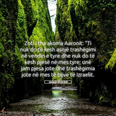 Picture 05 - Numrat 18:20 ALB - Zoti i tha akoma Aaronit: 