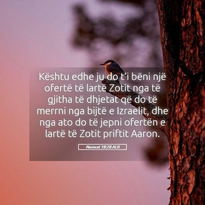 Picture 05 - Numrat 18:28 ALB - Kështu edhe ju do t’i bëni një ofertë të - Bible Verse Picture