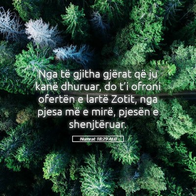 Picture 05 - Numrat 18:29 ALB - Nga të gjitha gjërat që ju kanë dhuruar, do - Bible Verse Picture