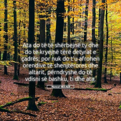 Picture 05 - Numrat 18:3 ALB - Ata do të të shërbejnë ty dhe do të kryejnë - Bible Verse Picture