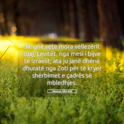 Picture 05 - Numrat 18:6 ALB - Ja, unë vetë mora vëllezërit tuaj, Levitët, - Bible Verse Picture