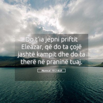Picture 05 - Numrat 19:3 ALB - Do t’ia jepni priftit Eleazar, që do ta çojë - Bible Verse Picture