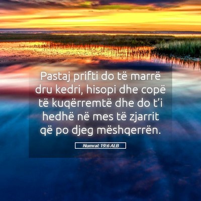 Picture 05 - Numrat 19:6 ALB - Pastaj prifti do të marrë dru kedri, hisopi dhe - Bible Verse Picture