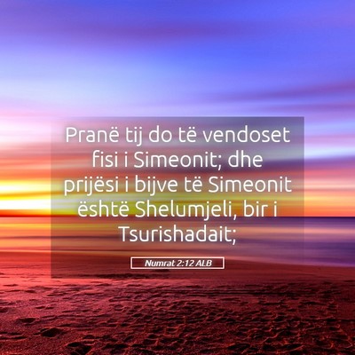 Picture 05 - Numrat 2:12 ALB - Pranë tij do të vendoset fisi i Simeonit; dhe - Bible Verse Picture