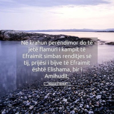 Picture 05 - Numrat 2:18 ALB - Në krahun perëndimor do të jetë flamuri i - Bible Verse Picture