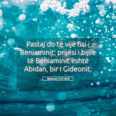 Picture 05 - Numrat 2:22 ALB - Pastaj do të vijë fisi i Beniaminit; prijësi i - Bible Verse Picture