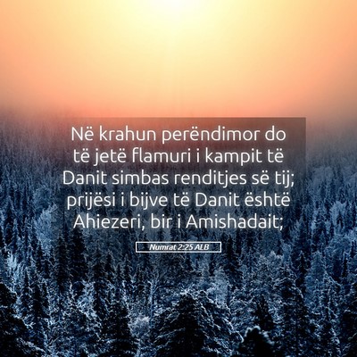 Picture 05 - Numrat 2:25 ALB - Në krahun perëndimor do të jetë flamuri i - Bible Verse Picture