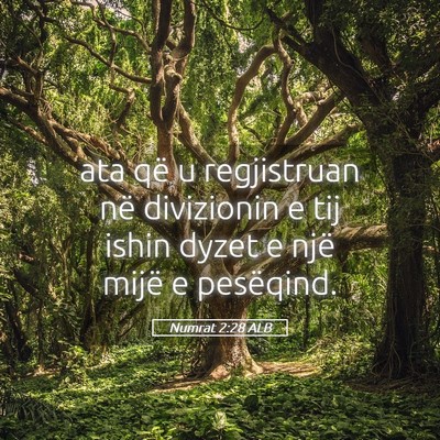 Picture 05 - Numrat 2:28 ALB - ata që u regjistruan në divizionin e tij ishin - Bible Verse Picture