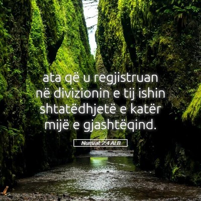 Picture 05 - Numrat 2:4 ALB - ata që u regjistruan në divizionin e tij ishin - Bible Verse Picture