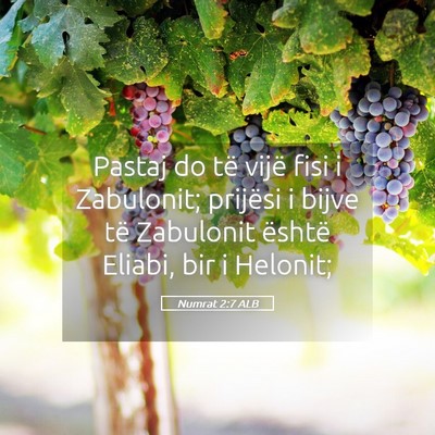 Picture 05 - Numrat 2:7 ALB - Pastaj do të vijë fisi i Zabulonit; prijësi i - Bible Verse Picture