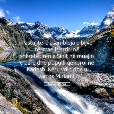 Picture 05 - Numrat 20:1 ALB - Pastaj tërë asambleja e bijve të Izraelit - Bible Verse Picture