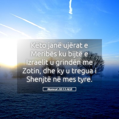 Picture 05 - Numrat 20:13 ALB - Këto janë ujërat e Meribës ku bijtë e - Bible Verse Picture