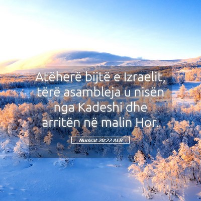 Picture 05 - Numrat 20:22 ALB - Atëherë bijtë e Izraelit, tërë asambleja u - Bible Verse Picture