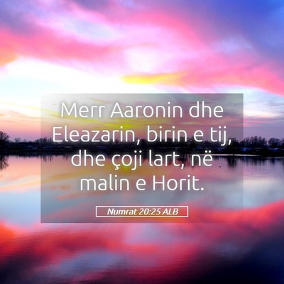 Picture 05 - Numrat 20:25 ALB - Merr Aaronin dhe Eleazarin, birin e tij, dhe - Bible Verse Picture
