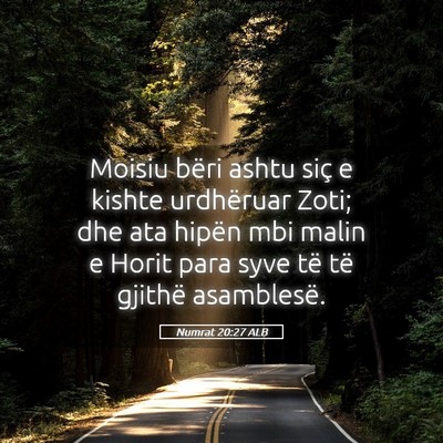 Picture 05 - Numrat 20:27 ALB - Moisiu bëri ashtu siç e kishte urdhëruar Zoti; - Bible Verse Picture