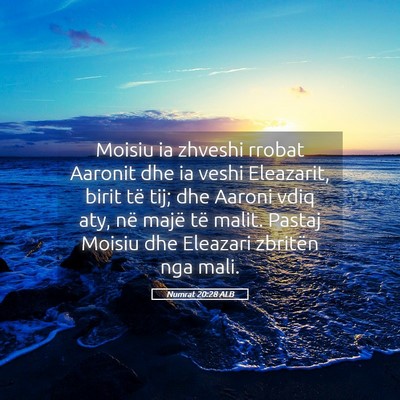 Picture 05 - Numrat 20:28 ALB - Moisiu ia zhveshi rrobat Aaronit dhe ia veshi - Bible Verse Picture