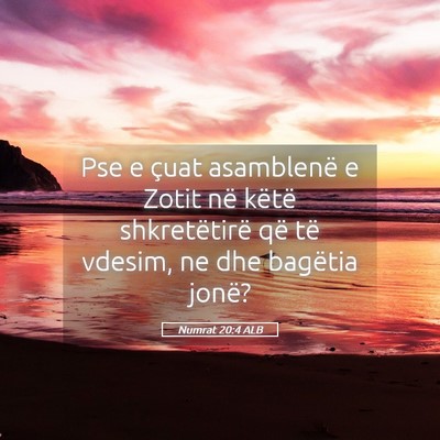 Picture 05 - Numrat 20:4 ALB - Pse e çuat asamblenë e Zotit në këtë - Bible Verse Picture