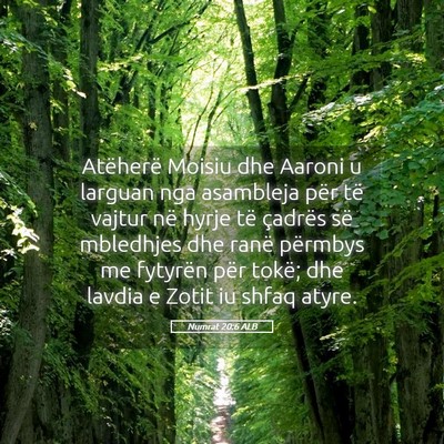 Picture 05 - Numrat 20:6 ALB - Atëherë Moisiu dhe Aaroni u larguan nga - Bible Verse Picture