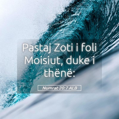 Picture 05 - Numrat 20:7 ALB - Pastaj Zoti i foli Moisiut, duke i - Bible Verse Picture