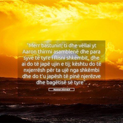 Picture 05 - Numrat 20:8 ALB - 