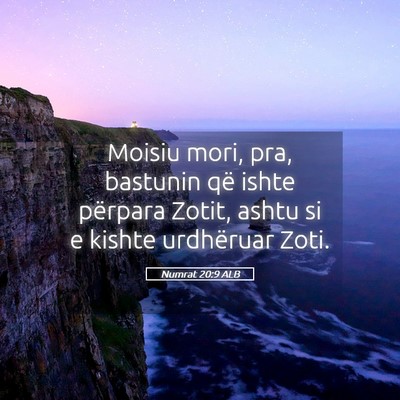 Picture 05 - Numrat 20:9 ALB - Moisiu mori, pra, bastunin që ishte përpara - Bible Verse Picture