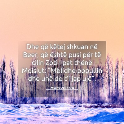 Picture 05 - Numrat 21:16 ALB - Dhe që këtej shkuan në Beer, që është pusi - Bible Verse Picture