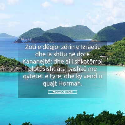 Picture 05 - Numrat 21:3 ALB - Zoti e dëgjoi zërin e Izraelit dhe ia shtiu në - Bible Verse Picture