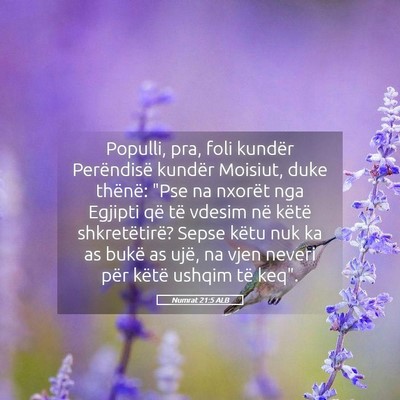Picture 05 - Numrat 21:5 ALB - Populli, pra, foli kundër Perëndisë kundër - Bible Verse Picture