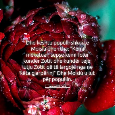 Picture 05 - Numrat 21:7 ALB - Dhe kështu populli shkoi te Moisiu dhe i tha: - Bible Verse Picture
