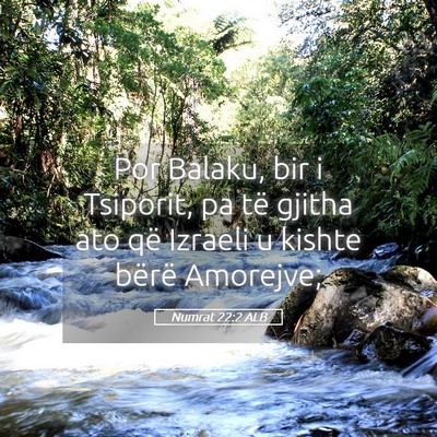 Picture 05 - Numrat 22:2 ALB - Por Balaku, bir i Tsiporit, pa të gjitha ato që - Bible Verse Picture
